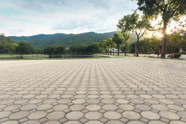 Best Asphalt Driveway Paving in USA